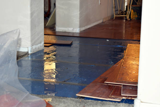Professional Burst Pipe Water Damage technician working in Mica, WA